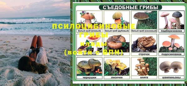 соль ск Алексин