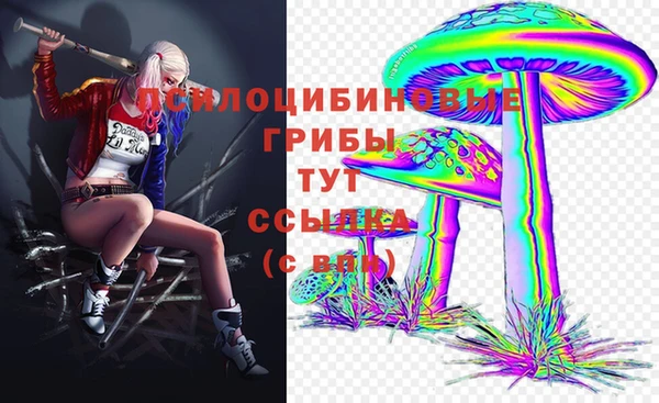 соль ск Алексин