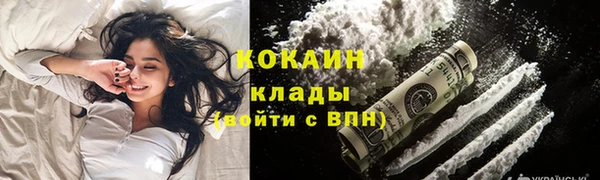 соль ск Алексин